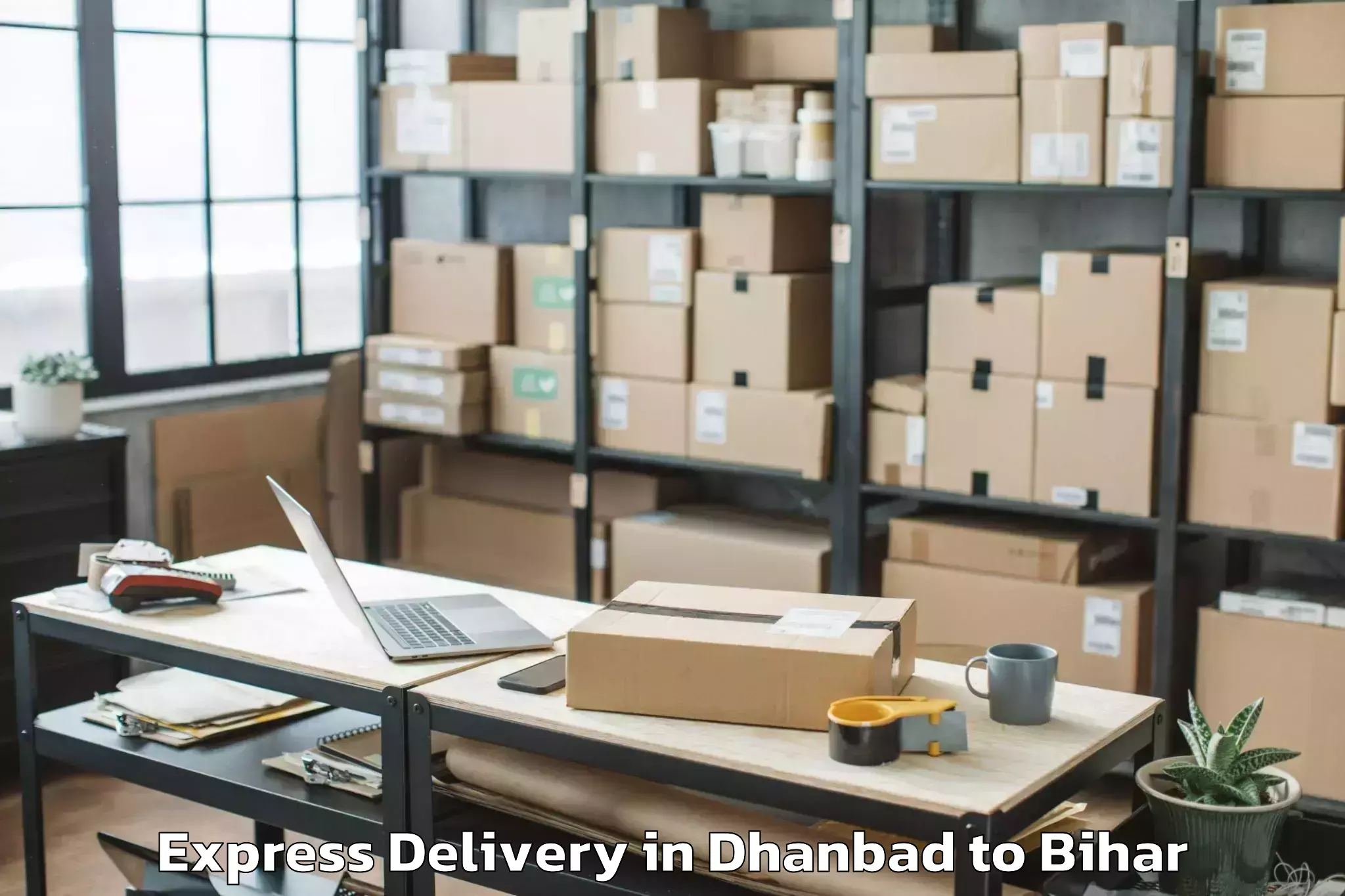 Professional Dhanbad to Amnour Express Delivery